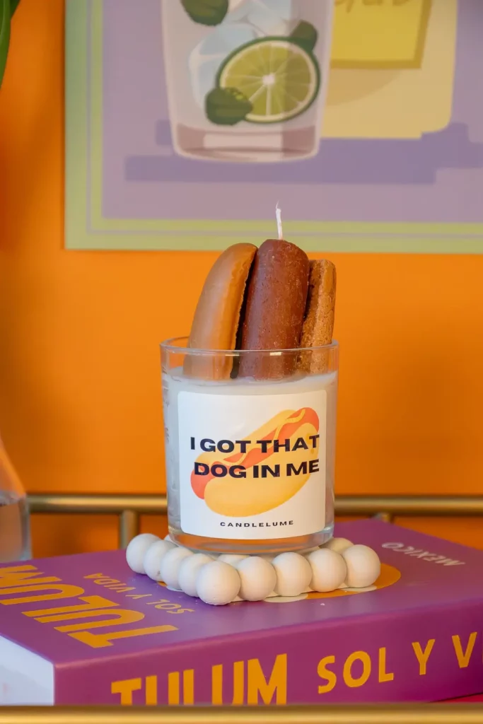 A brown and white hot dog candle with a label that reads, "I got that dog in me" set atop a white bubbled coaster on a purple book in front of an orange wall.